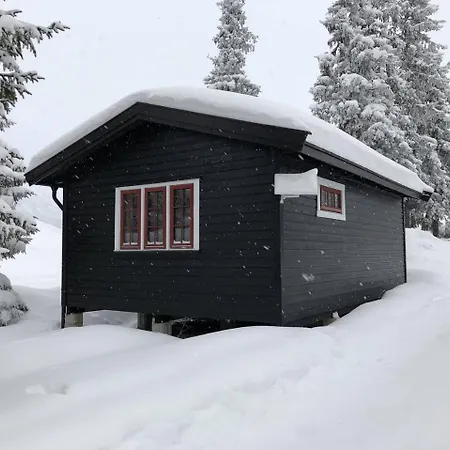 山林小屋 Turistheim